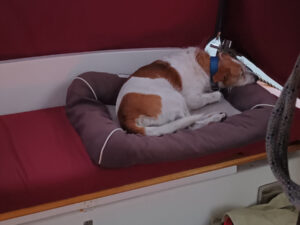 Geen probleem met slecht weer